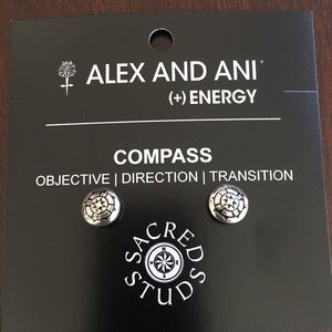 Alex and Ani energy compass earrings